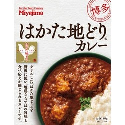 はかた地どりカレー 180g