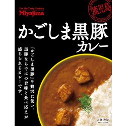 かごしま黒豚カレー 180g