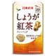 日東紅茶 しょうが紅茶 20p