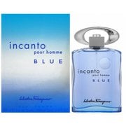 フェラガモ インカント ブルー プールオム オードトワレ スプレータイプ 100ml [フレグランス]