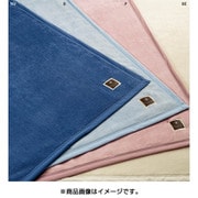 綿毛布（羽毛部分） シングルサイズ（140×200cm） ブルー FQ09501004