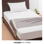 カシミヤ入りひざ掛け (70×140cm(房込み)) ブラウン FQ79103008