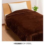 わた入り毛布 シングルサイズ（140×200cm） ブラウン FQ09055019