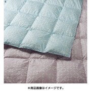 羽毛掛けふとん（肌掛け） シングルロングサイズ（150×210cm 0.3kg） ラベンダー KE08205007