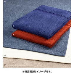 タオルケット シングルサイズ（140×200cm） グレー RR09150014