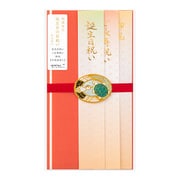 金封 469 お祝 大人 刺繍水引 鶴亀柄 25469006