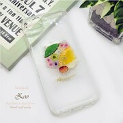 Zoo Clear Muse Cat iPhone 8 / iPhone 7 / iPhone 6s / iPhone 6 ケース [MAKIYOKI Real Fruit Smartphone case]