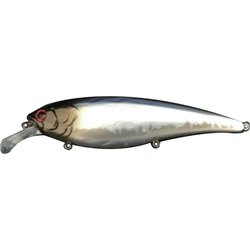 067884 [RISEN 110F #10 ハス]