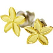 LAM レイトンラム ミニプル ピアス GOLD 4HLZ3629