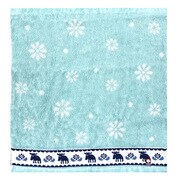 mozウォッシュタオル34×35GN 451-25861-6399