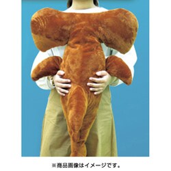廃盤 山二 Sea Creatures BIG ぬいぐるみ ウツボ 2種コンプ