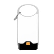 薄型LEDランプ シルバー led-lamp-silver