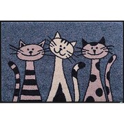 G027A 玄関マット Three Cats blue 50x75cm AB00405