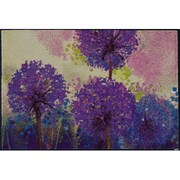 H016A 玄関マット Alium 50x75cm AB00422
