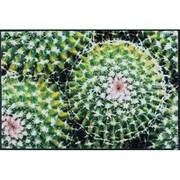 H017A 玄関マット Spiny Green 50x75cm AB00423