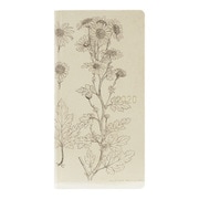 ほぼ日 2020 weeks spring 週間手帳 4月始まり 牧野富太郎/ノジギク