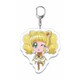 ヒーリングっど プリキュア プリポップ♪アクリルキーホルダー キュアスパークル [キャラクターグッズ]