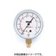TA141G-1 [R410A、R32用高精度圧力計/連成計]