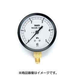 TA141GF-250 [75径フレアタイプ圧力計]