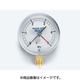 TA148AF-250 [75径フレアタイプ圧力計]