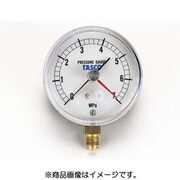 TA148AF-270 [75径フレアタイプ圧力計]