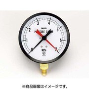 TA148AF-370 [100径フレアタイプ圧力計]