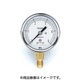 TA147F-135 [圧力計 3.5MPa 径60]