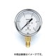 TA147F-150 [圧力計 5.0MPa 径60]