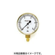 TA147F-250 [圧力計 5.0MPa 径75]