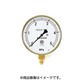 TA147F-335 [圧力計 3.5MPa 径100]