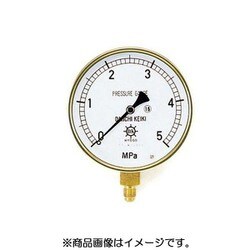 TA147F-350 [圧力計 5.0MPa 径100]