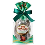 限定 アップルチョコレートVD 150g