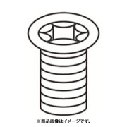 日立ツール クランプネジ 100-141