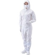 1-2274-52 [AS APディスポウェアNDW Lサイズ 10枚]