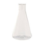 159-15-15-11 [TGK 石英三角フラスコ 100mL]