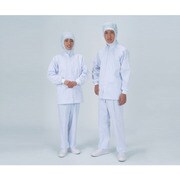 2-8756-04 [AS 女性パンツA FX70978 サックス LL]