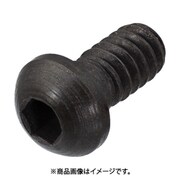 269-844 [サンドビック スクリュー]
