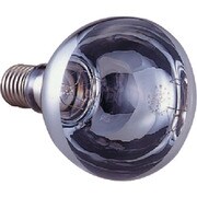 387-54 [ユニット 投光器用電球 100V用500W]
