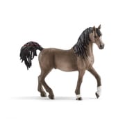 13907 [Horse Club アラビア馬(オス)]