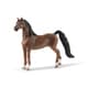 13913 [Horse Club アメリカンサドルブレッド(オス)]