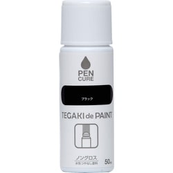 ペンキュア TEGAKIdePAINT ノングロス 50ml ブラック