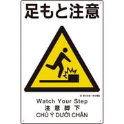 建災防統一安全標識 足もと注意