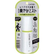 デオドラントミスト ギャツビー スマートクリアミスト 80ml さらさらタイプ