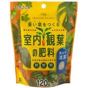 室内観葉の肥料 120g