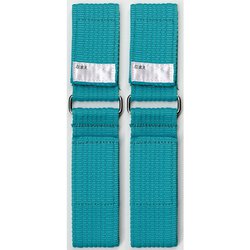 スキーホルダー Dリング WN98-10 ブルー [スキーバンド]