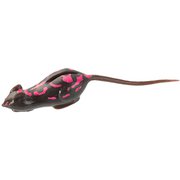 064893 [CTノラネズミ ECO #10 ドクネズミ]