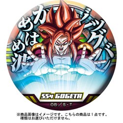 激レア ドラゴンボール ラン・ファン 缶バッジ 激レア ドラゴンボール ラン・ファン 缶バッジ メタル缶バッジ
