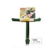 石崎剣山 花ささえ 足短・小 6本組