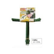 石崎剣山 花ささえ 足短・大 6本組