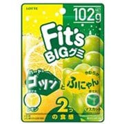 Fit'sグミ<ゴツンとふにゃん>レモン&マスカット 102g